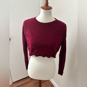 Deep Red Forever 21 Cropped Sweater